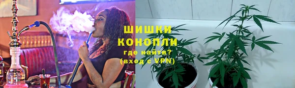 гидра Горнозаводск