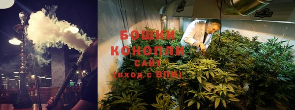 гидра Горнозаводск