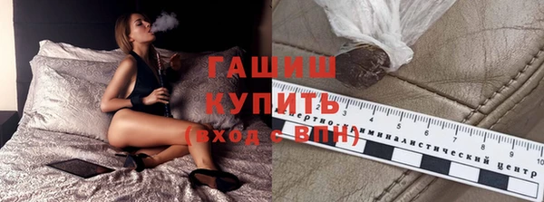 гидра Горнозаводск
