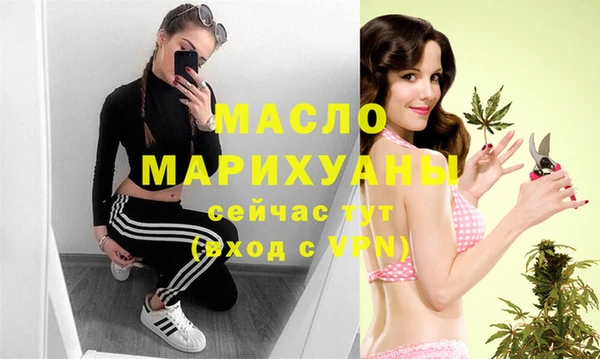 гидра Горнозаводск